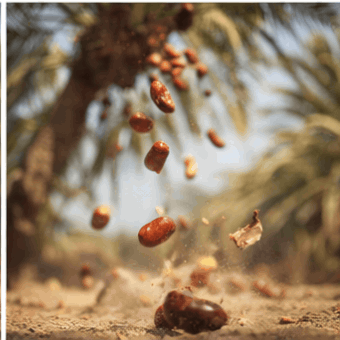 Dates